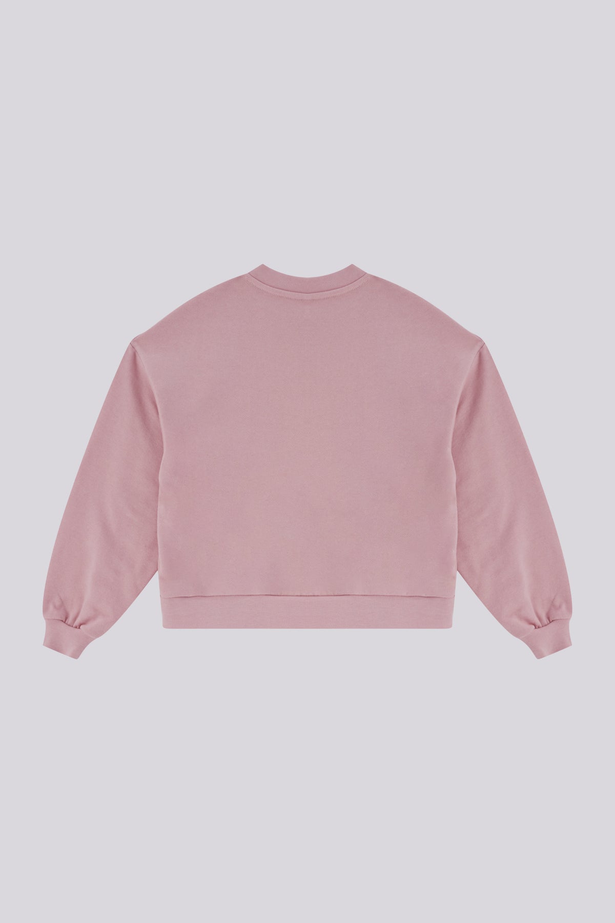 Baby Girl Powder Sweatshirt