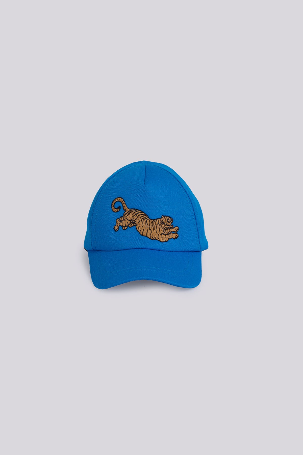 Boy Blue Hat