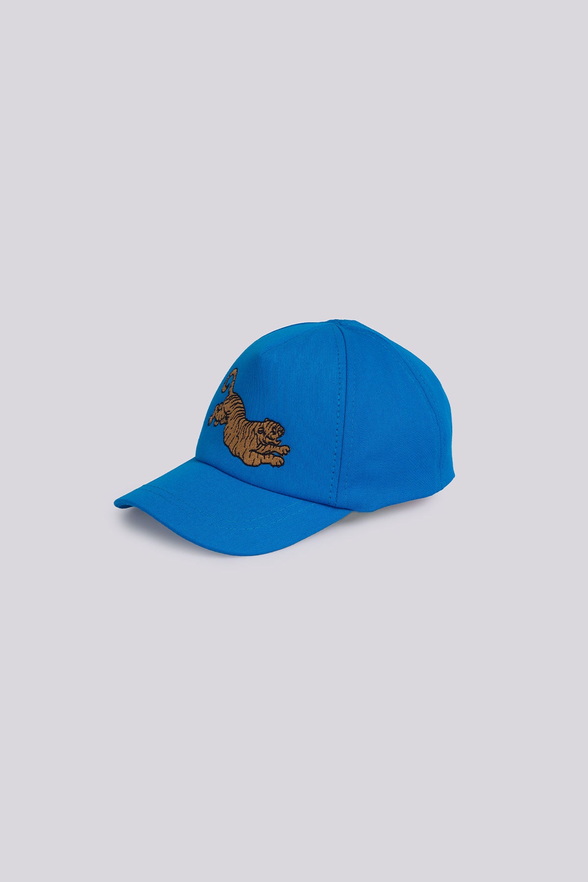 Boy Blue Hat