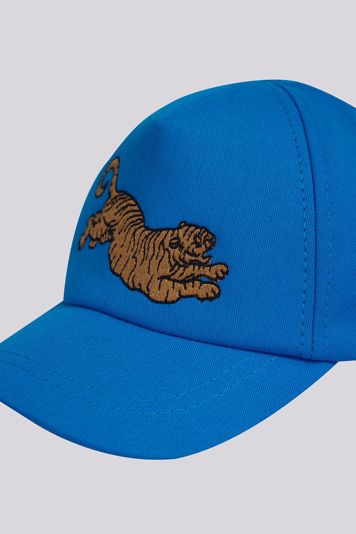 Boy Blue Hat