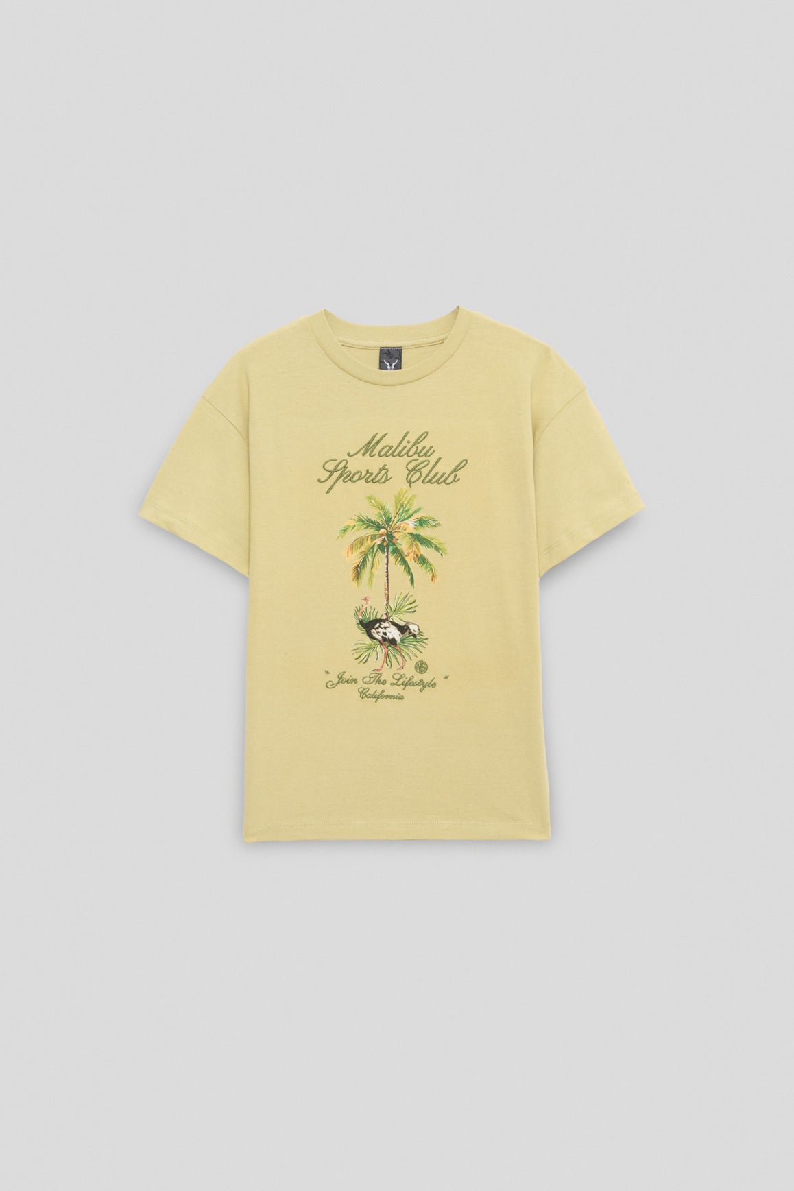 Boy Green Tshirt