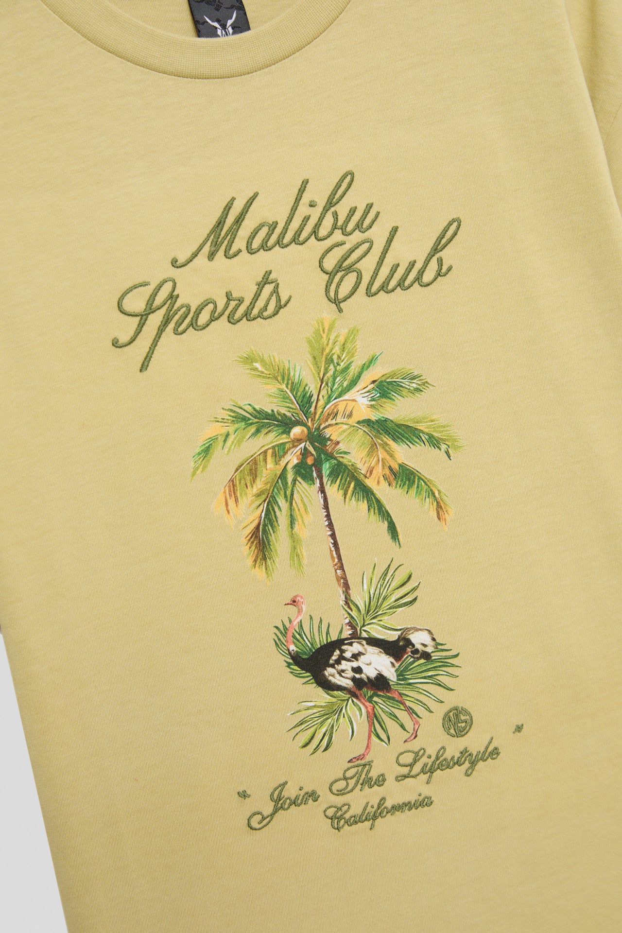 Boy Green Tshirt