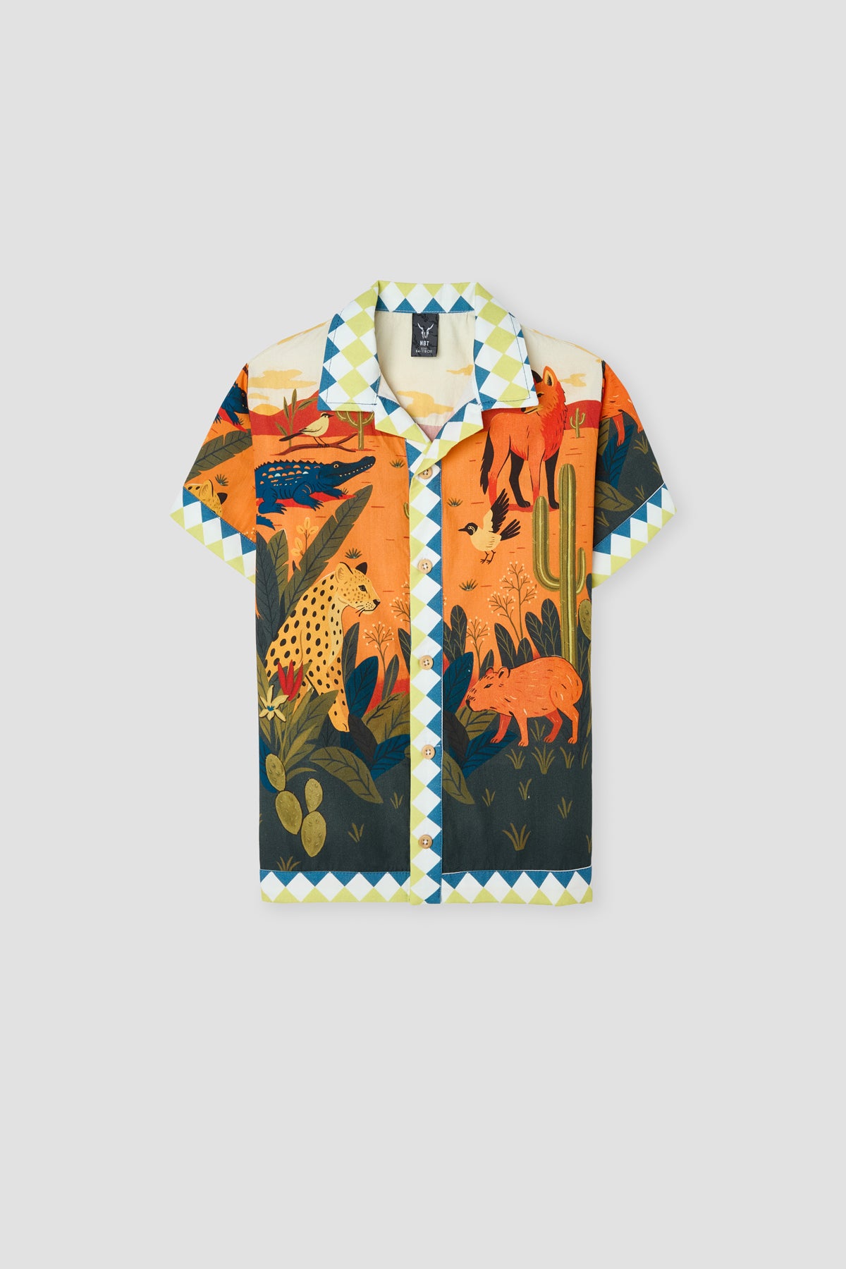Boy Patterned Shirt