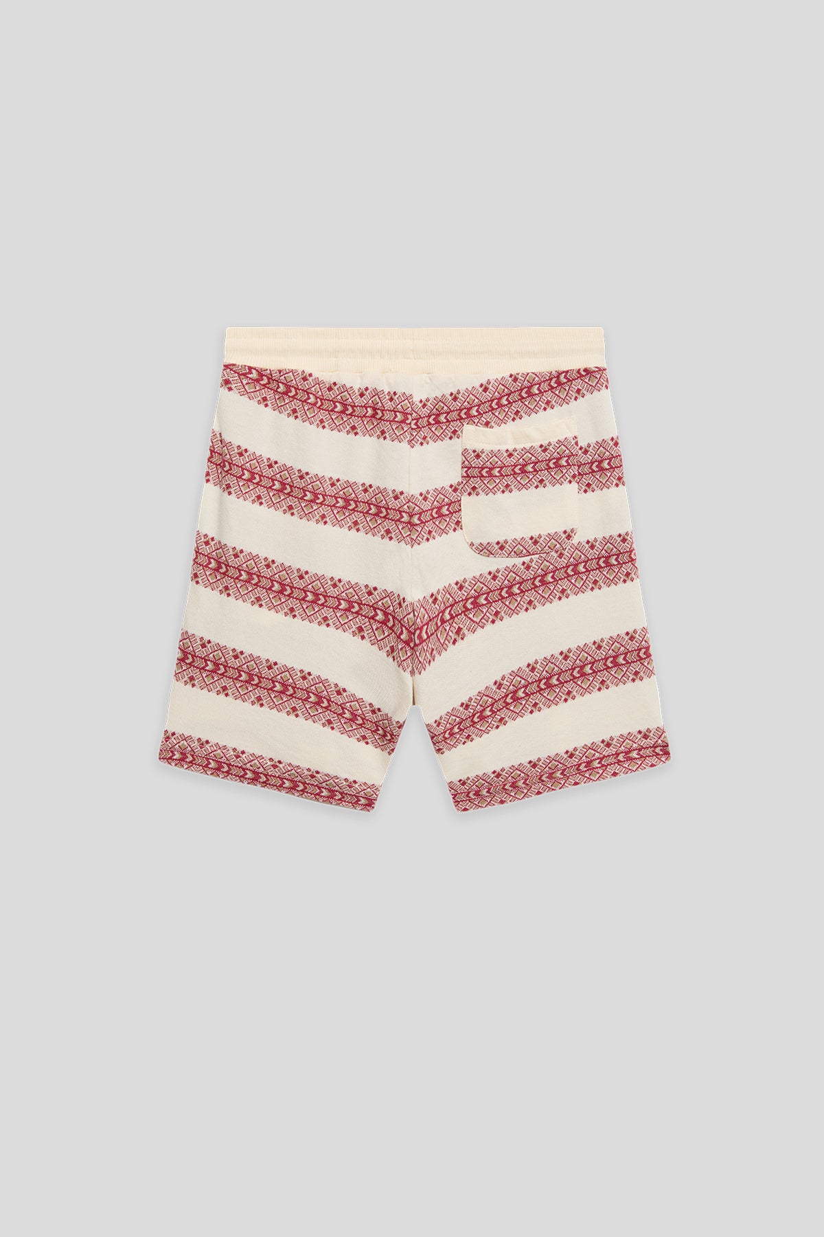Boy Patterned Shorts