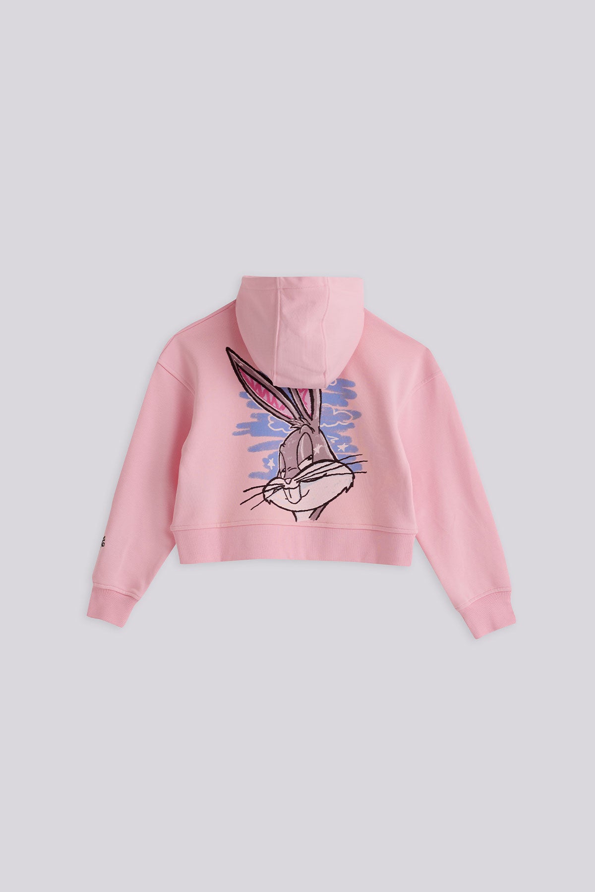 Girl Pink Sweatshirt
