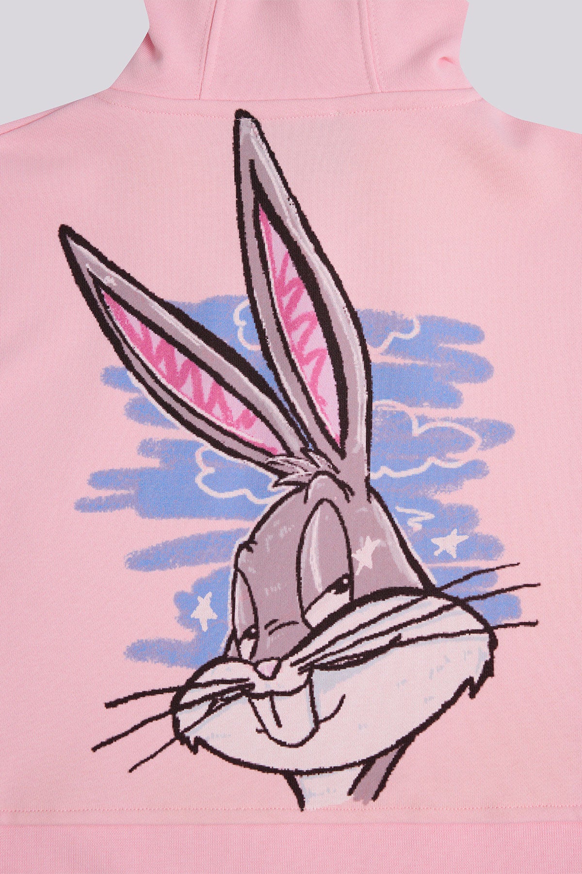 Girl Pink Sweatshirt