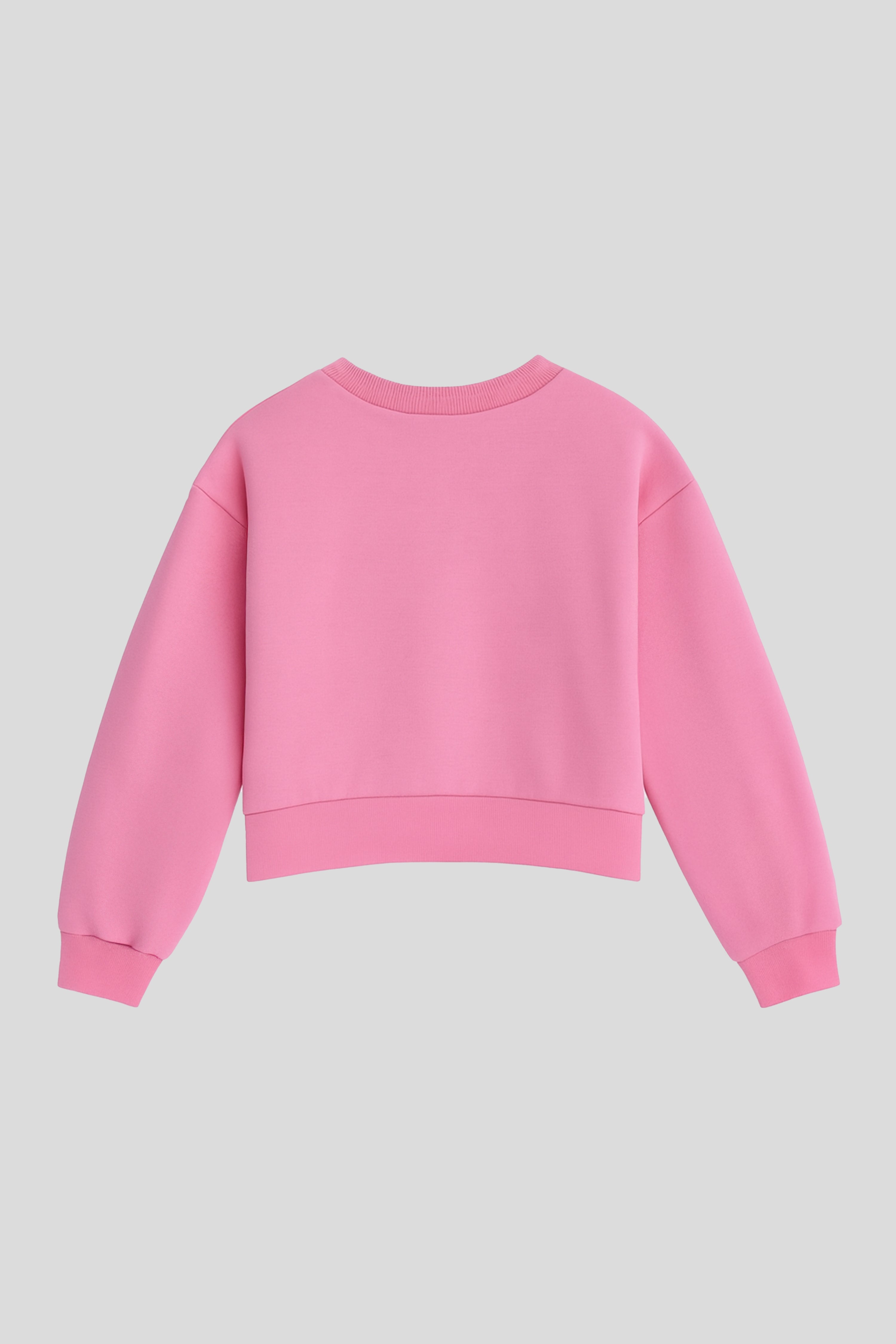 Girl Pink Sweatshirt
