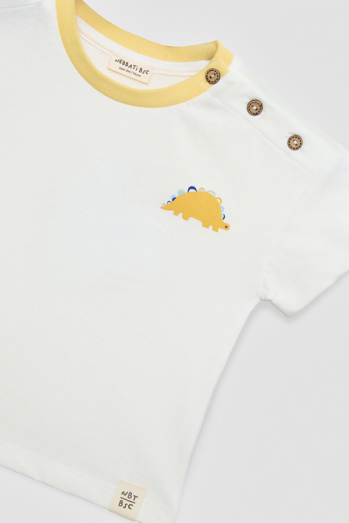 Baby Boy Colorful Shorts Suit