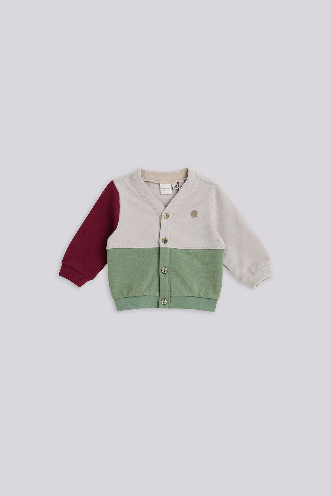 Baby Boy Colorful Tracksuit Top