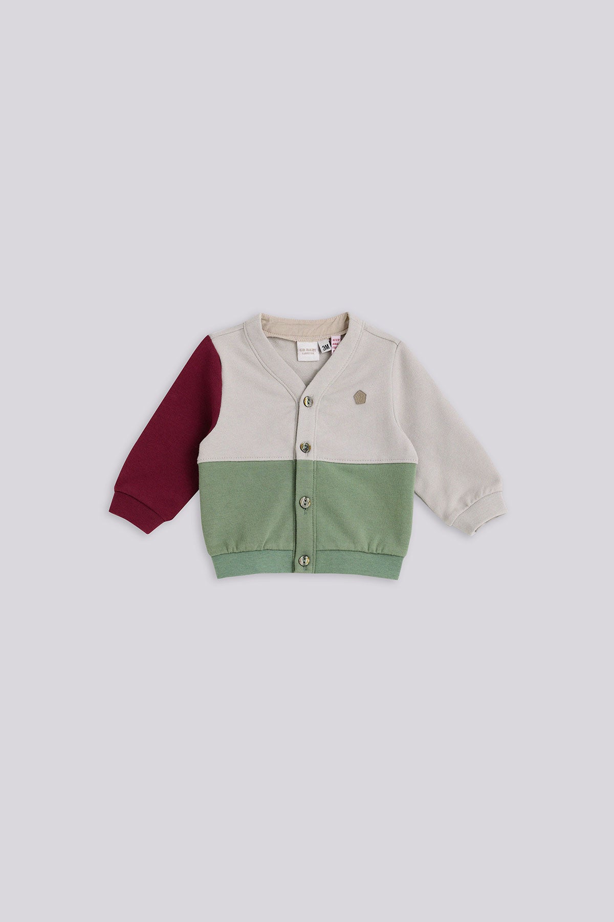 Baby Boy Colorful Tracksuit Top