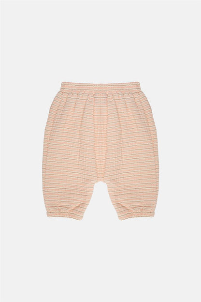 Baby Boy Patterned Trousers - BgStore