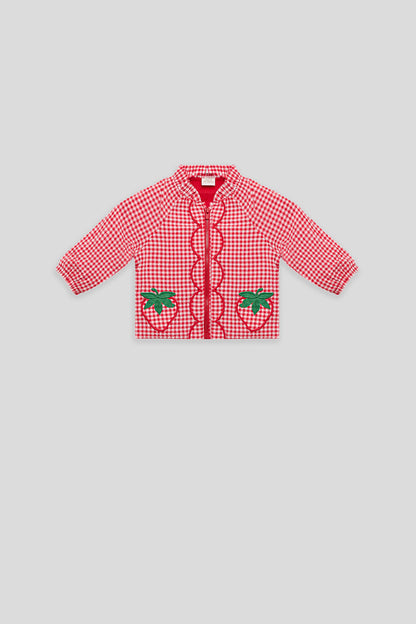 Baby Girl Plaid Tracksuit Top
