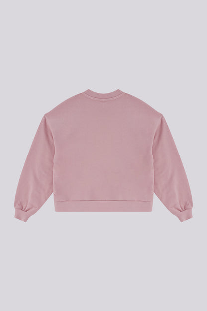 Baby Girl Powder Sweatshirt