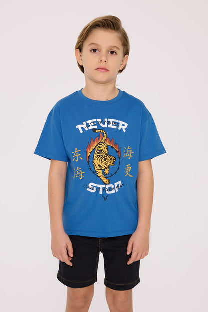 Boy Blue Tshirt