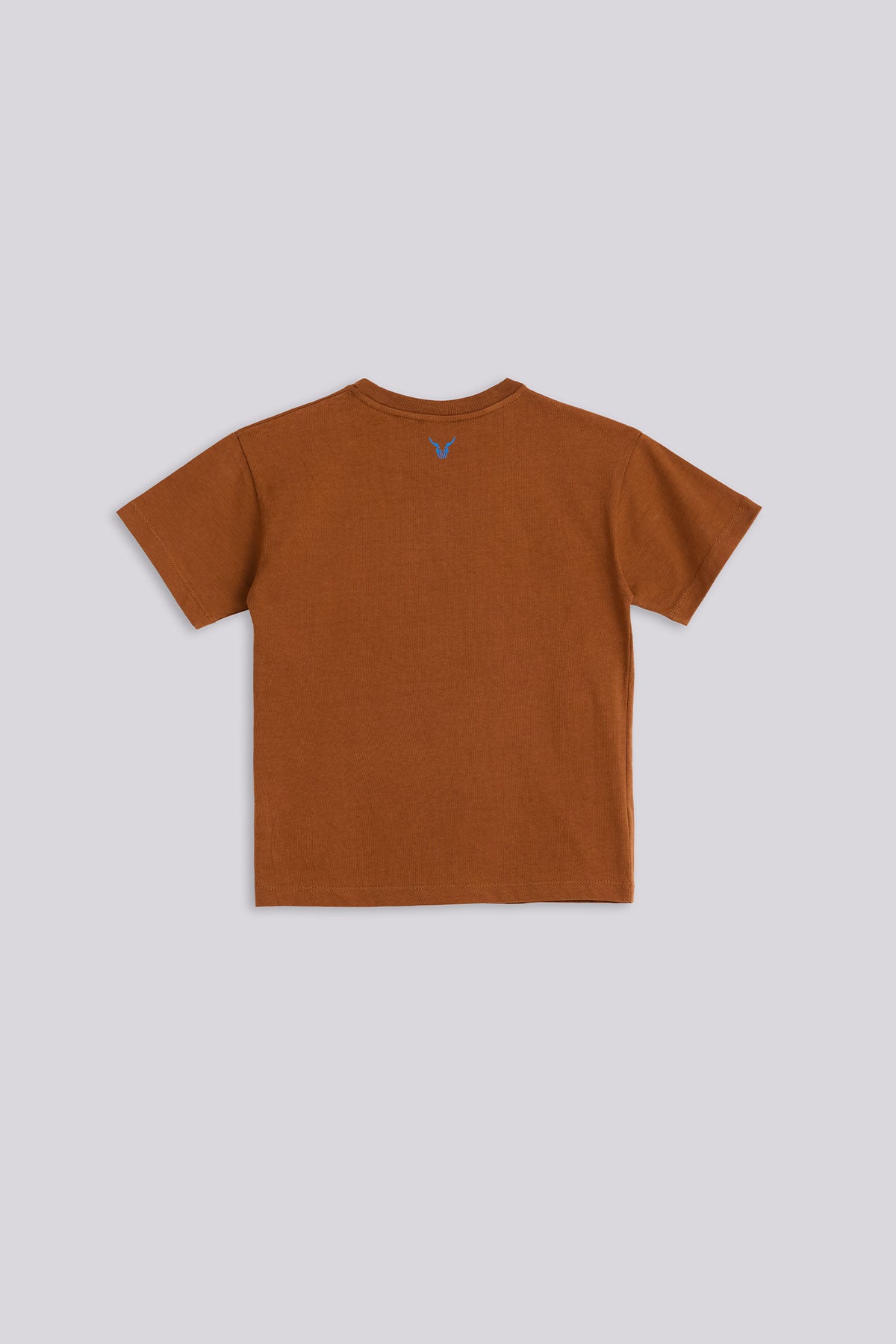 Boy Brown Tshirt