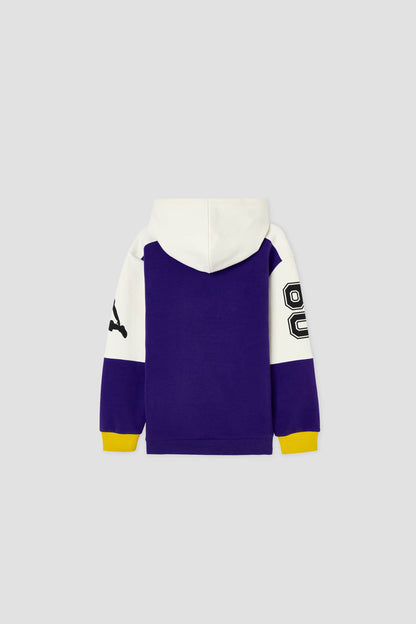 Boy Colorful Sweatshirt