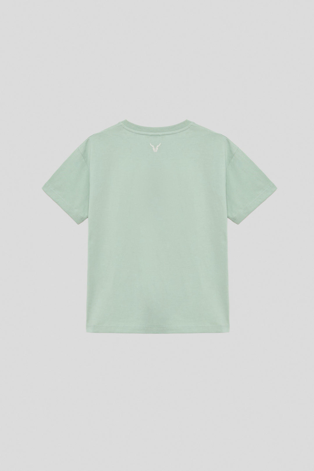 Boy Green Tshirt