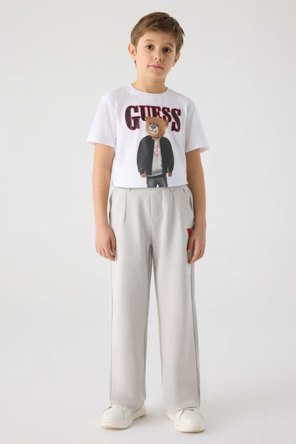 Boy Grey Trousers