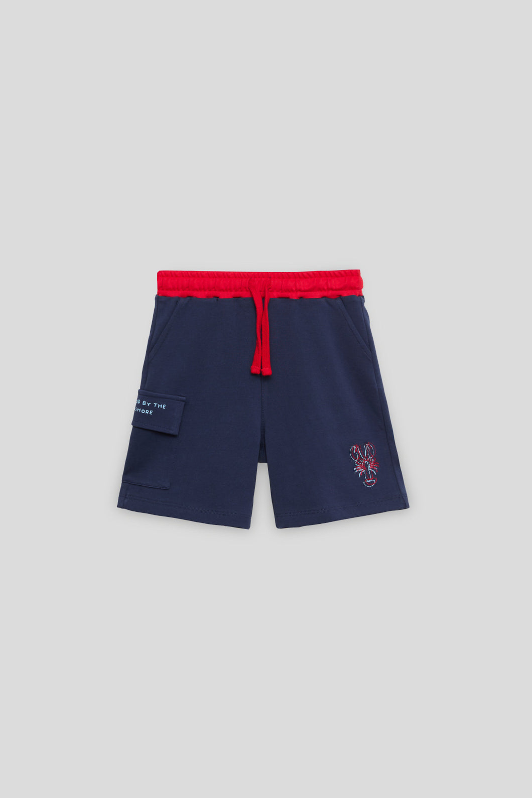 Boy Navy Blue Shorts