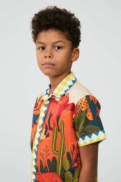Boy Patterned Shirt