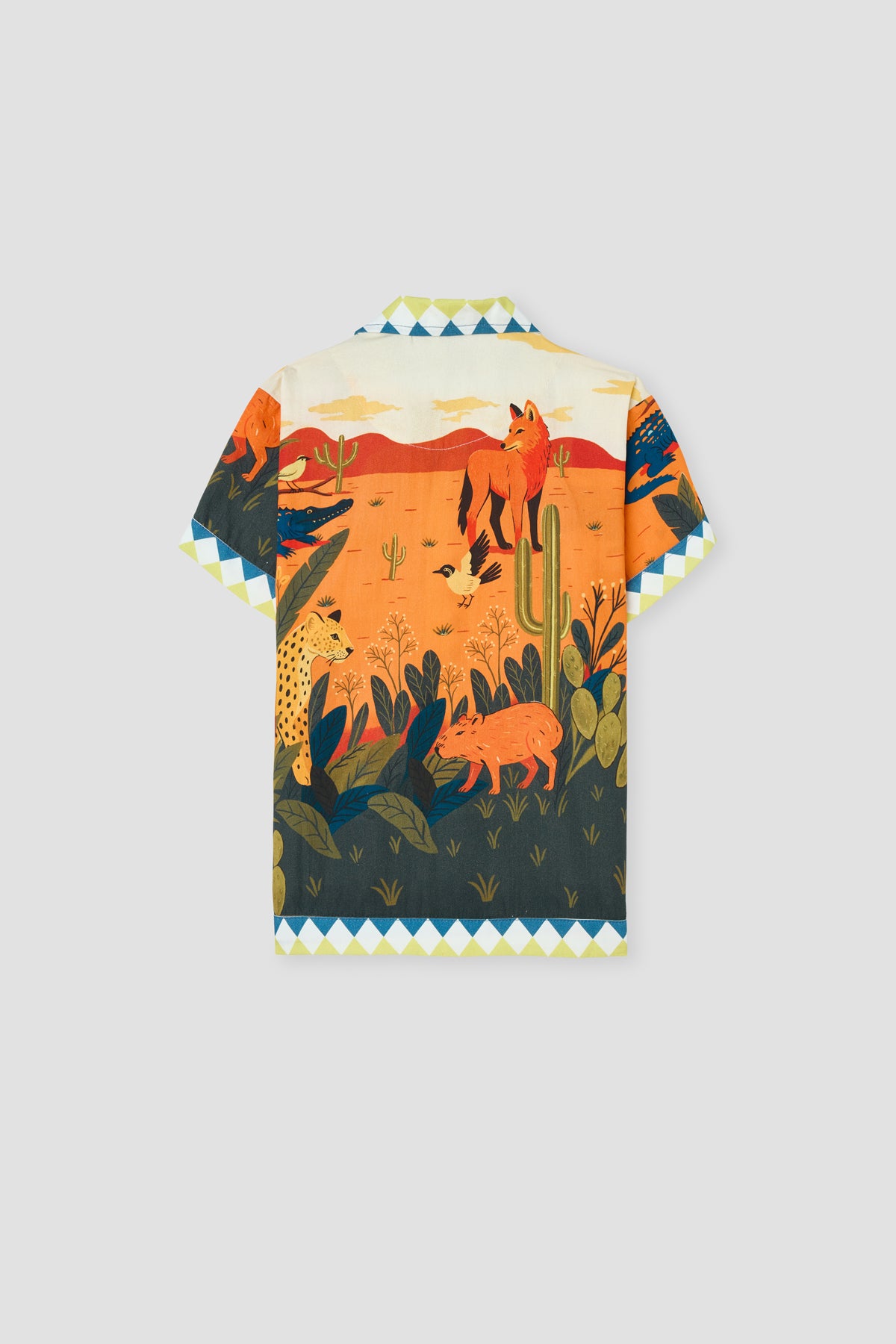Boy Patterned Shirt