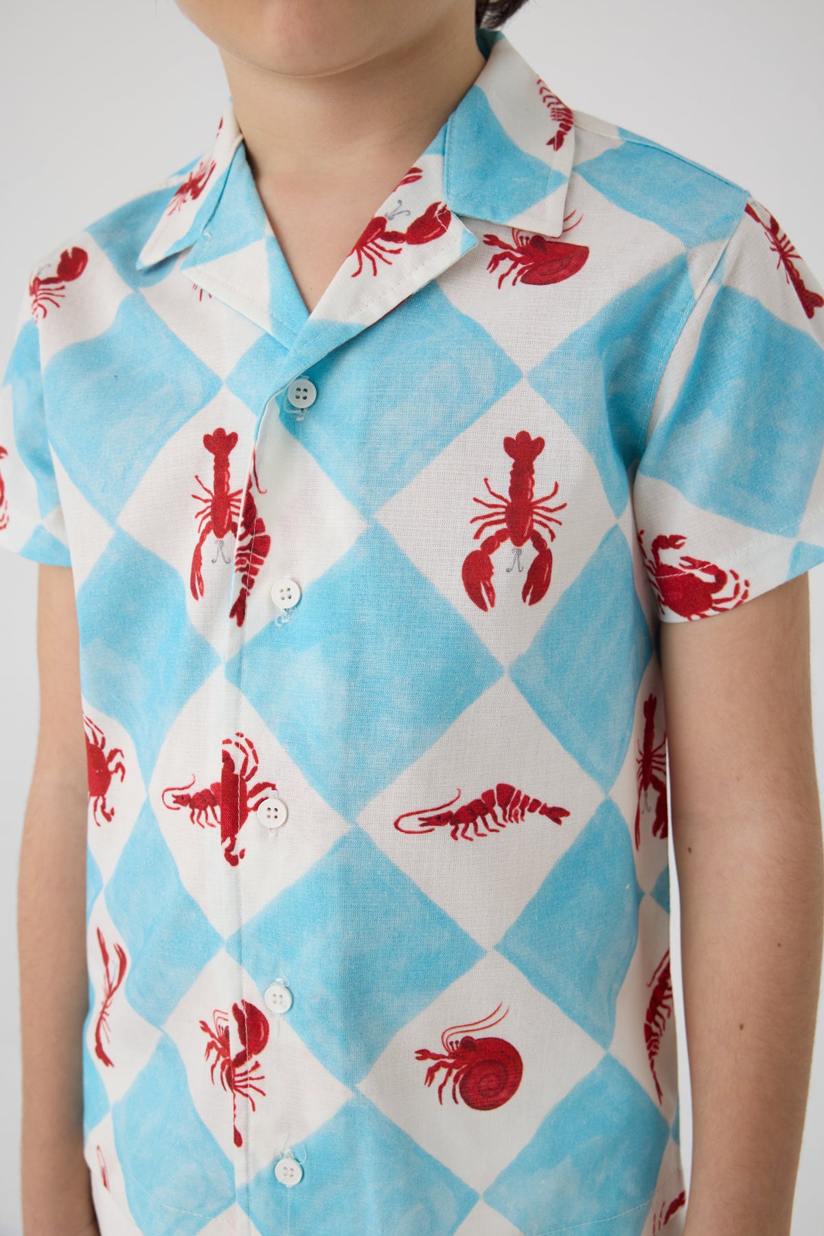 Boy Patterned Shirt