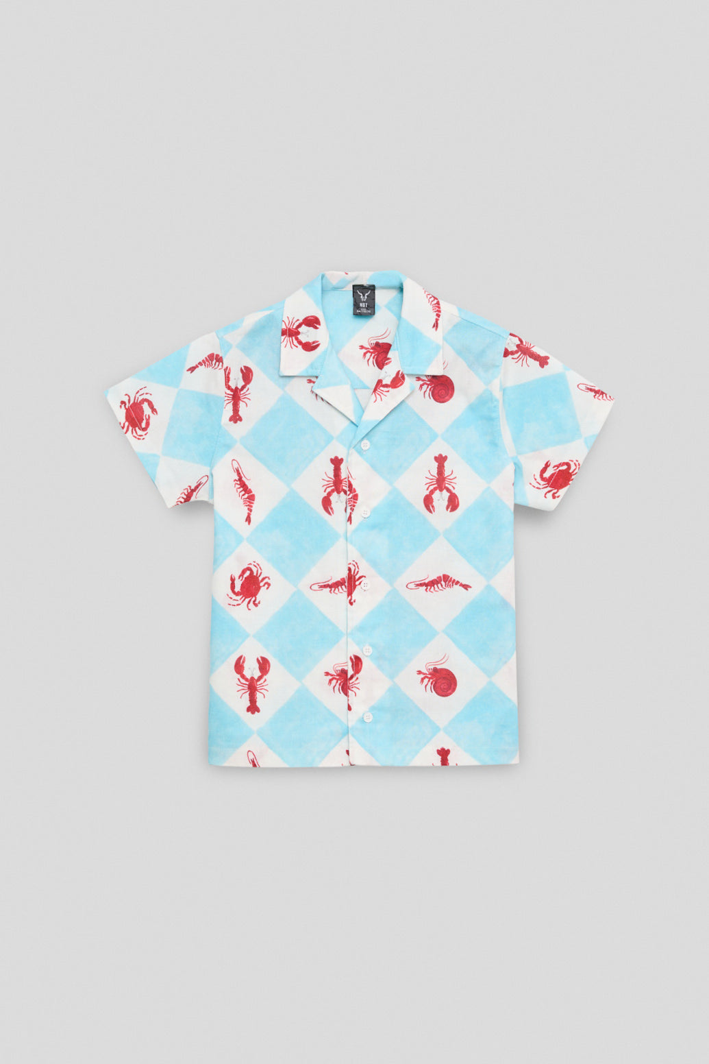 Boy Patterned Shirt