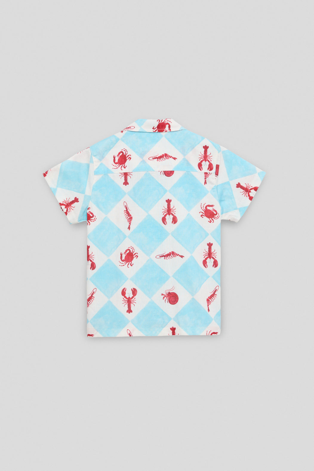 Boy Patterned Shirt