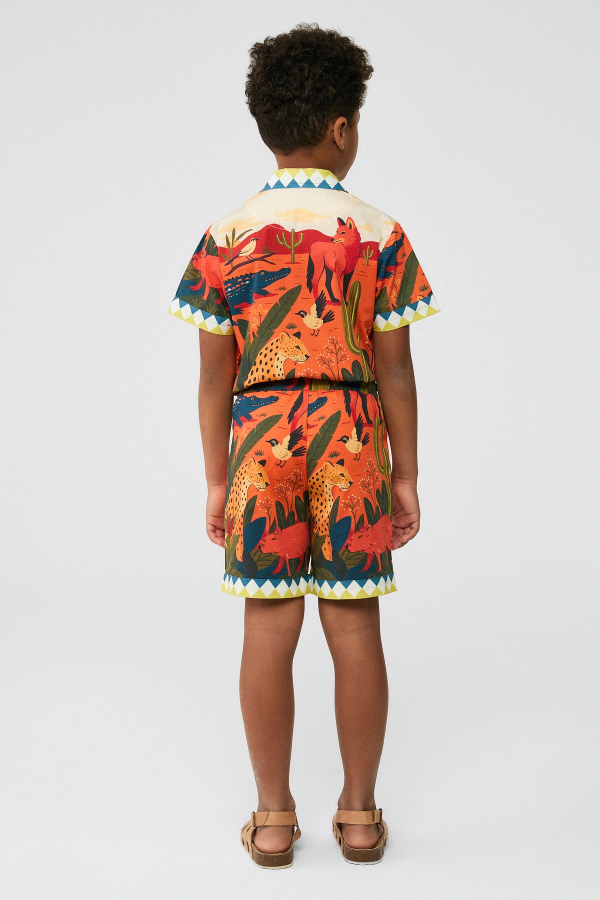 Boy Patterned Shorts