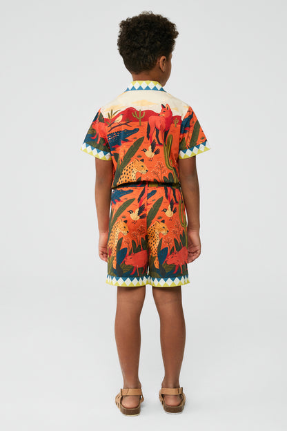 Boy Patterned Shorts