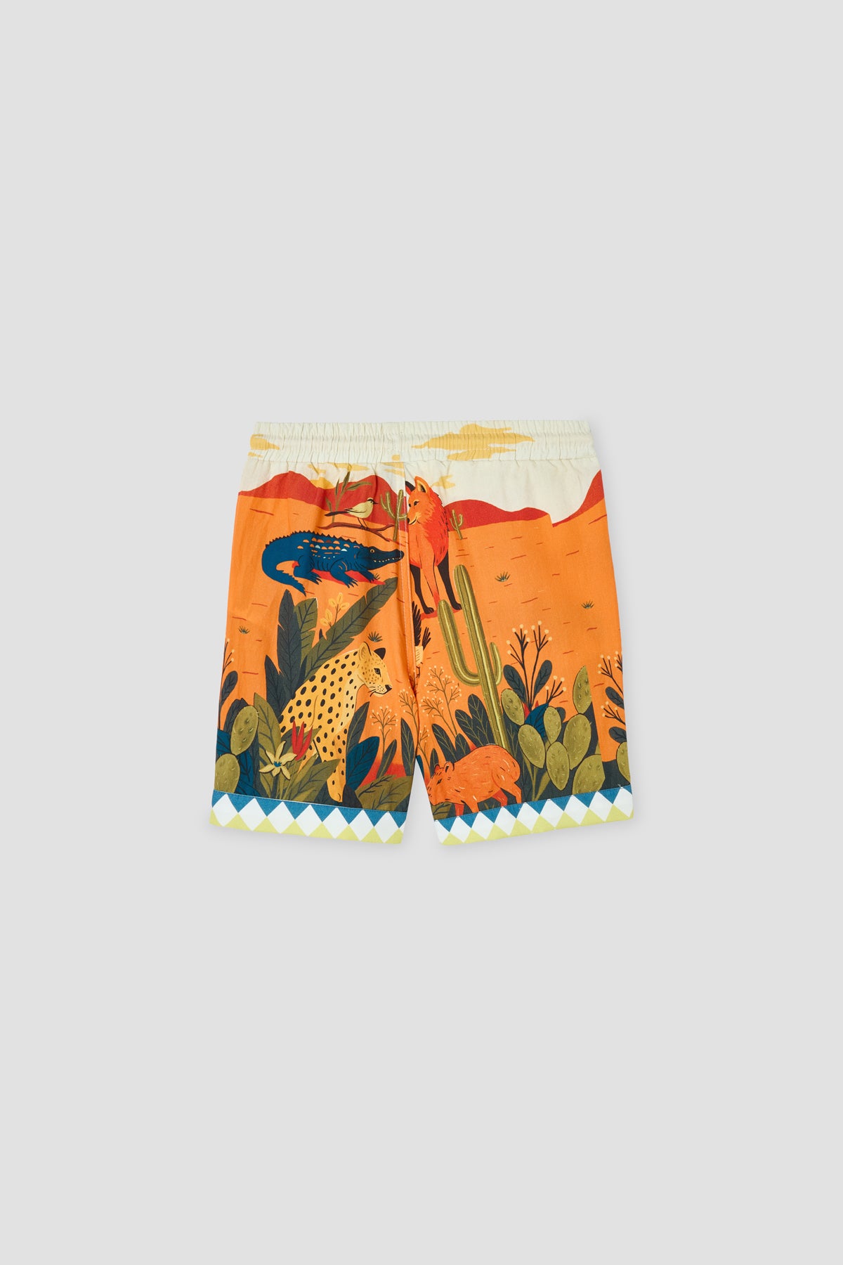 Boy Patterned Shorts