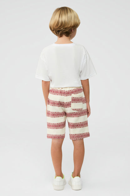 Boy Patterned Shorts