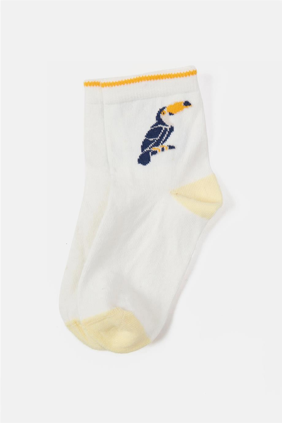 Boy White Socks - BgStore