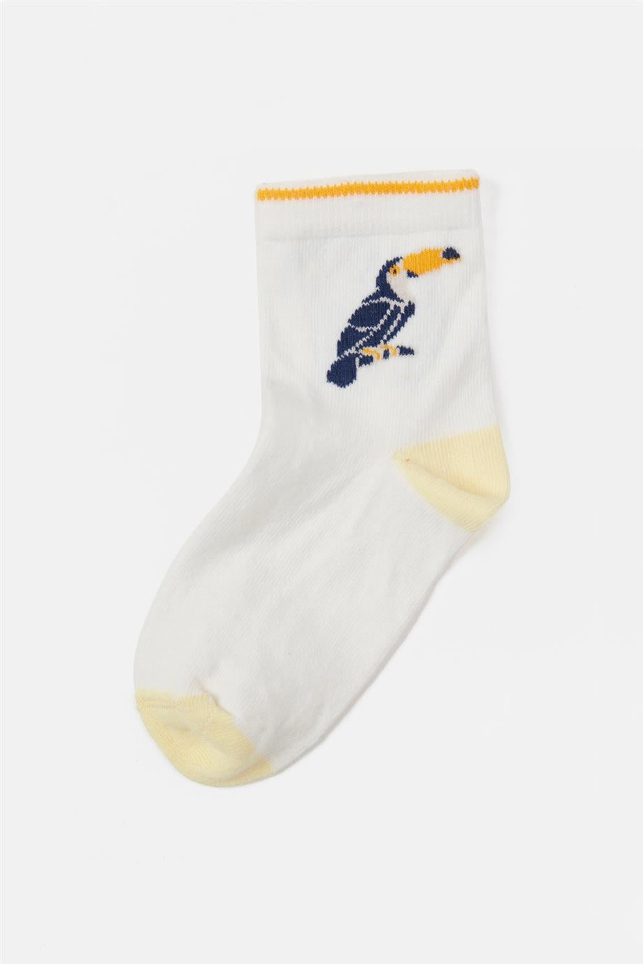 Boy White Socks - BgStore