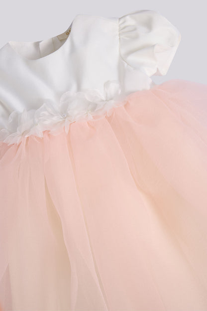 Girl Colorful Dress