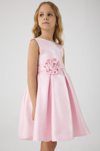 Girl Pink Dress